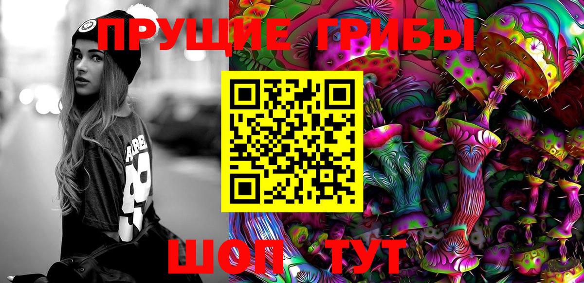 Киров  Галлюциногенные грибы ЛСД  Вход с VPN 