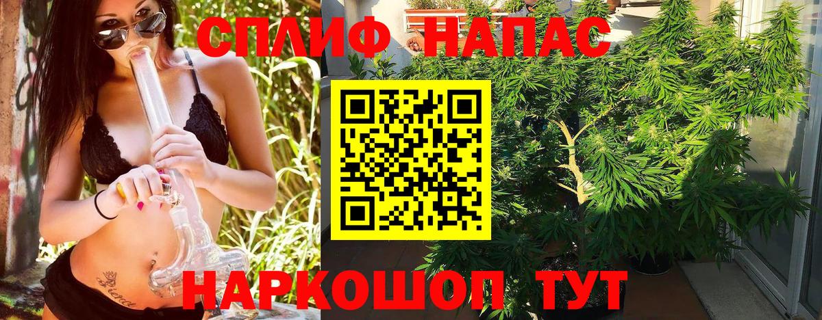 Шишки марихуана план  Марихуана ГИДРОПОН  Вход с VPN  МАРИХУАНА ГИДРОПОН  Киров 